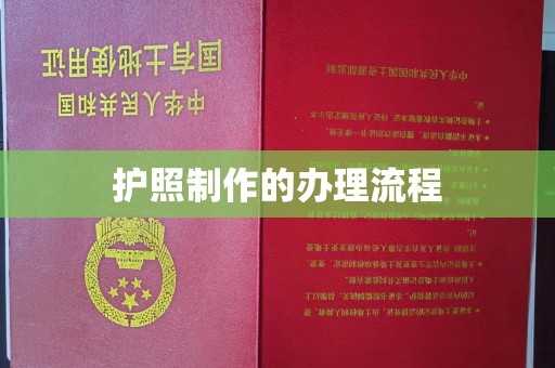 汝南护照制作的办理流程