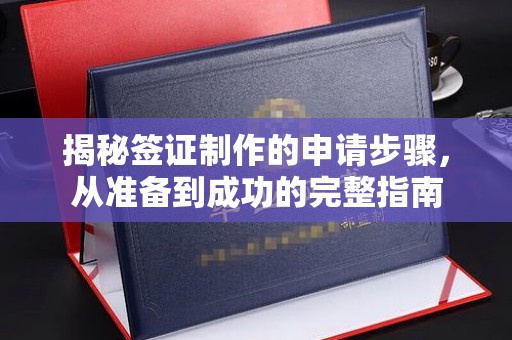 汝南揭秘签证制作的申请步骤，从准备到成功的完整指南