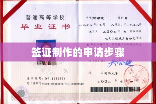 汝南签证制作的申请步骤