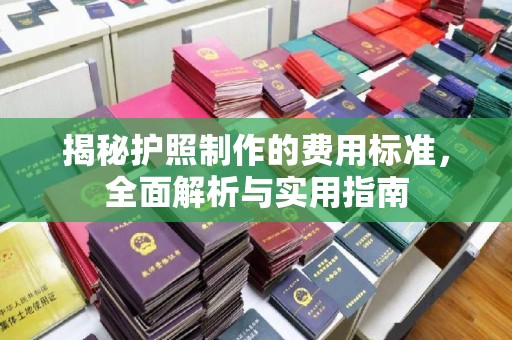 汝南揭秘护照制作的费用标准，全面解析与实用指南