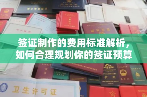 汝南签证制作的费用标准解析，如何合理规划你的签证预算