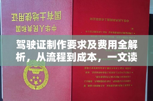 汝南驾驶证制作要求及费用全解析，从流程到成本，一文读懂