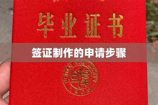 汝南签证制作的申请步骤