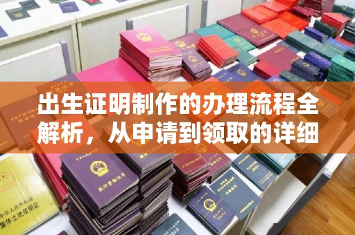 汝南出生证明制作的办理流程全解析，从申请到领取的详细指南