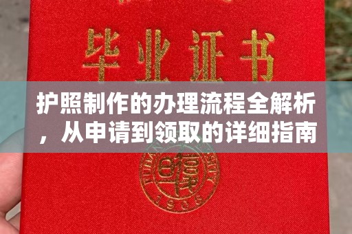 汝南护照制作的办理流程全解析，从申请到领取的详细指南