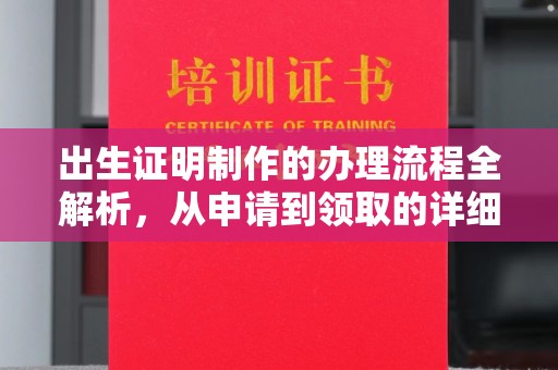 汝南出生证明制作的办理流程全解析，从申请到领取的详细指南
