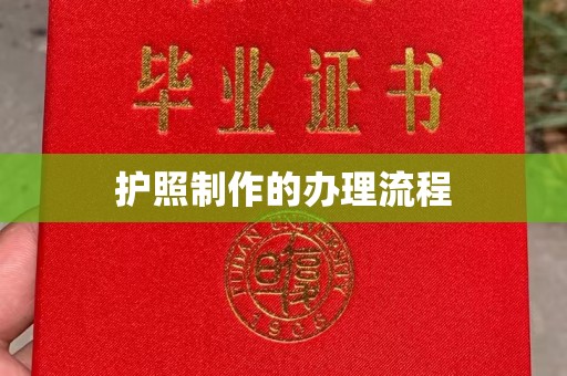 汝南护照制作的办理流程