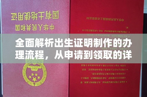 汝南全面解析出生证明制作的办理流程，从申请到领取的详细指南